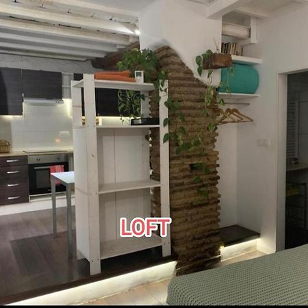 Apartmán Loft Increible En El Centro Granada Exteriér fotografie
