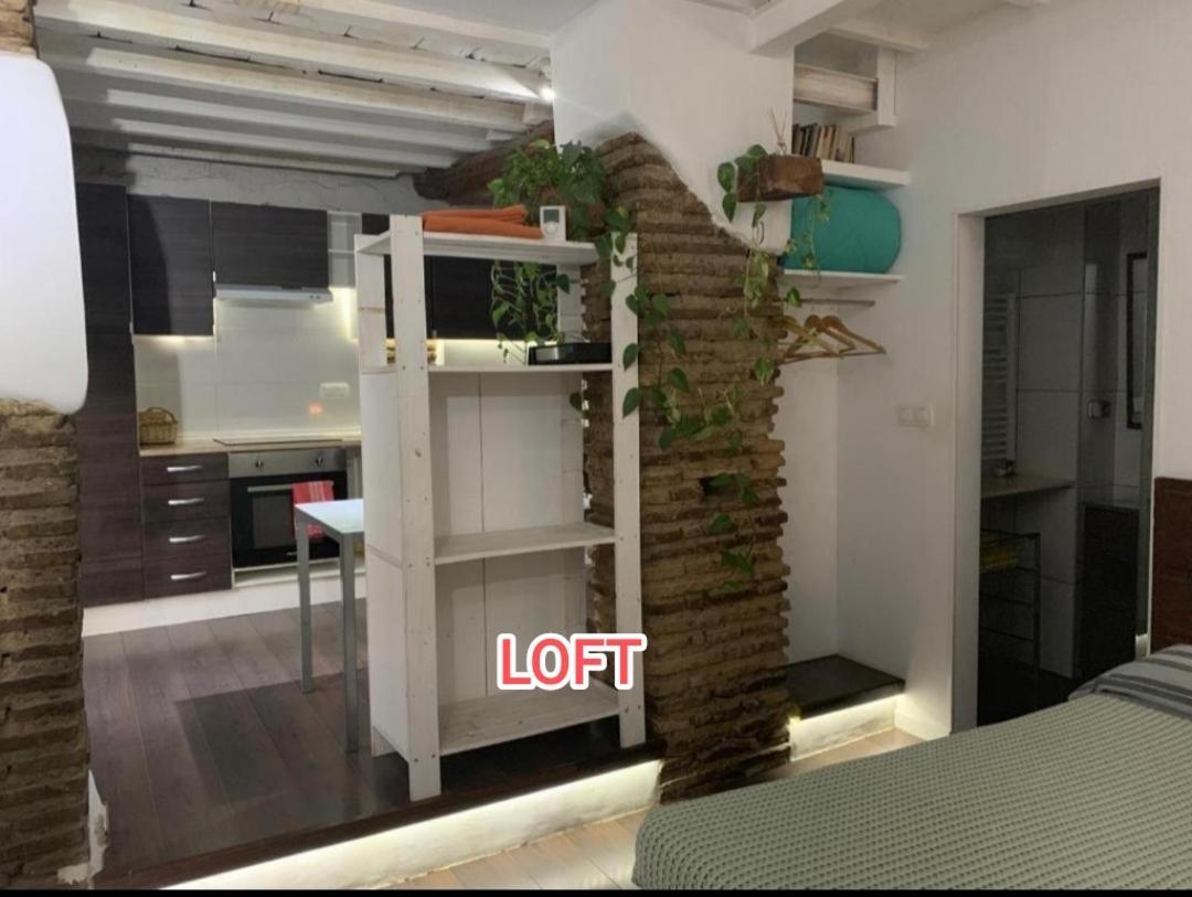 Apartmán Loft Increible En El Centro Granada Exteriér fotografie